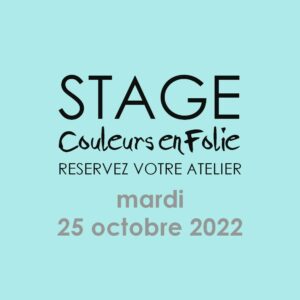 stage vacances le mardi 25 octobre 2022 scrap scrapbooing atelier couleurs-en-folie isabelle-lafolie tampons encres mini-albums